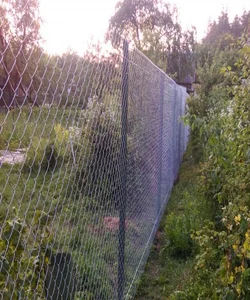 забор из сетки-рабицы